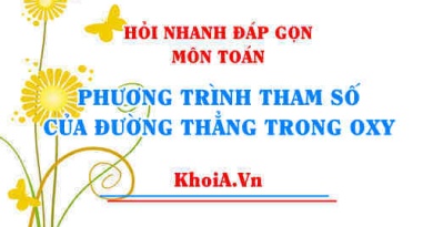Phương trình tham số của đường thẳng trong mặt phẳng Oxy lớp 10? Hỏi nhanh đáp gọn môn Toán